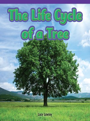 cover image of The Life Cycle of a Tree